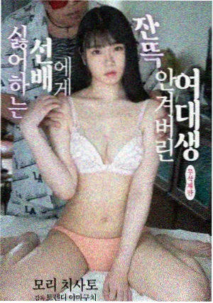 专题合集入口封面